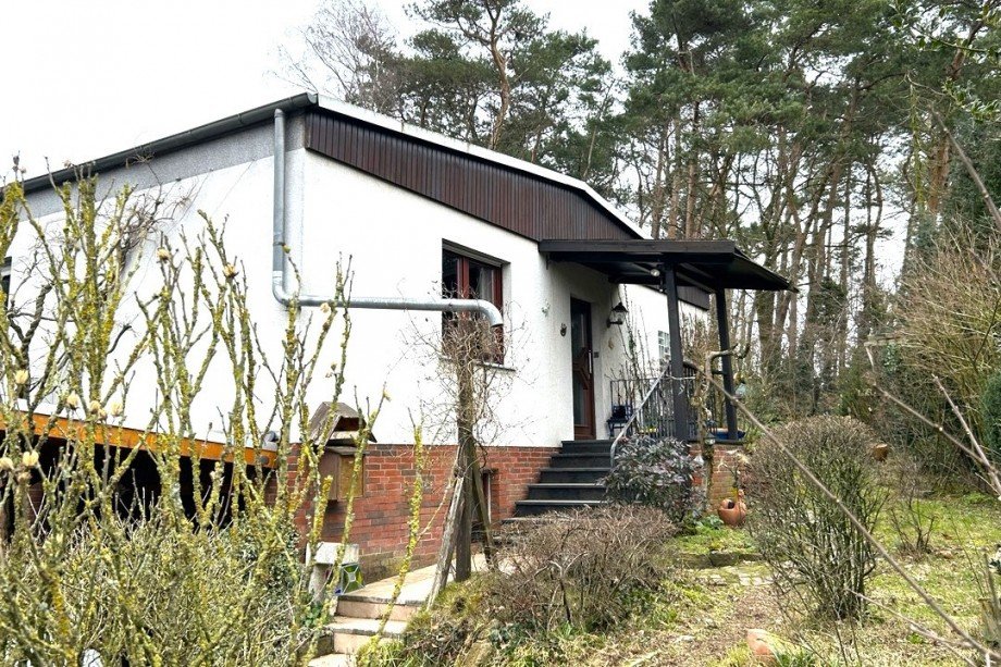 Blick auf den Eingangsbereich Einfamilienhaus Lohne (Oldenburg)