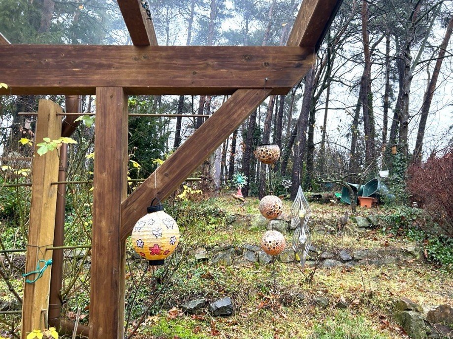 Blick in den Wald Einfamilienhaus Lohne (Oldenburg)