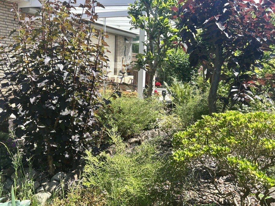 Gartenanlage Einfamilienhaus Bremen / Mahndorf