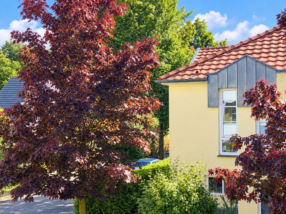 Aussicht Etagenwohnung Vechta