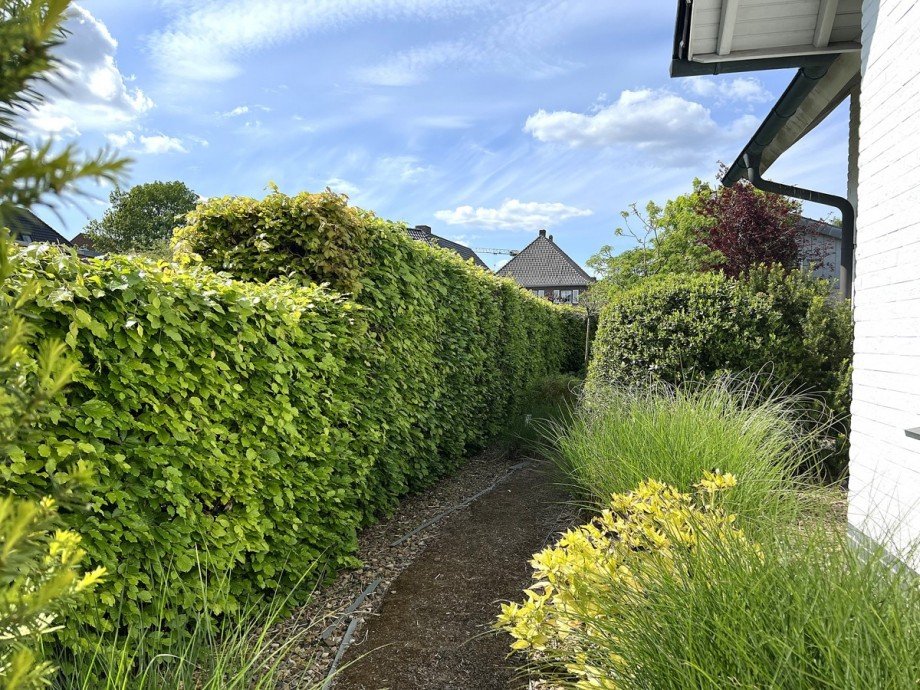  Zweifamilienhaus Vechta