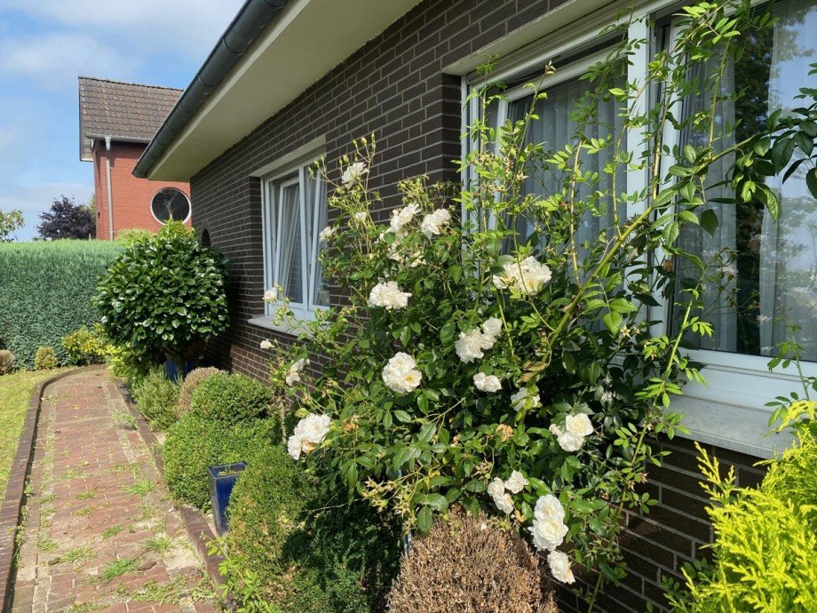  Einfamilienhaus Vechta