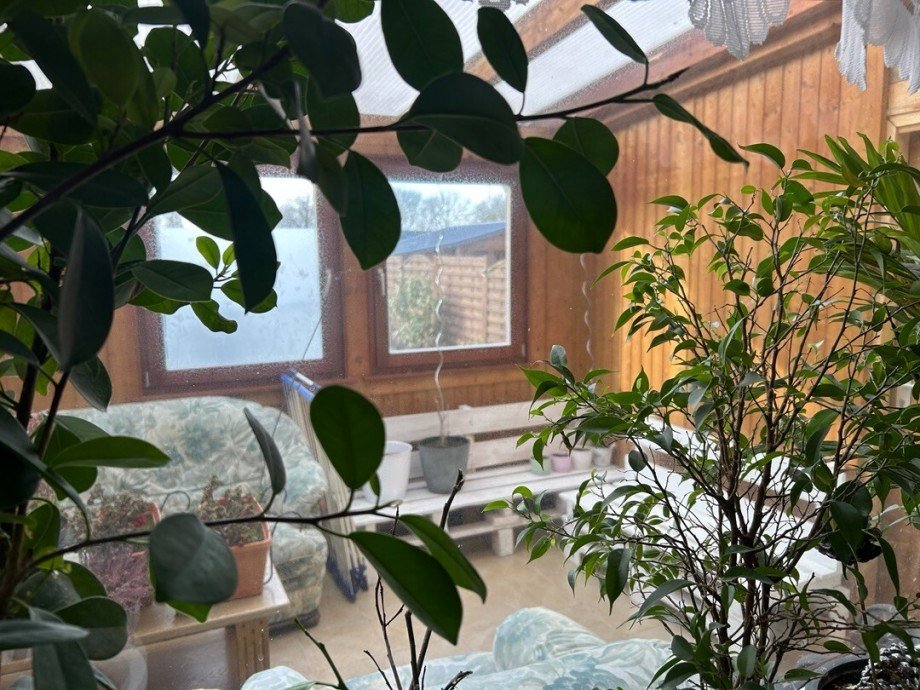 Wintergarten Reihenmittelhaus Barnstorf